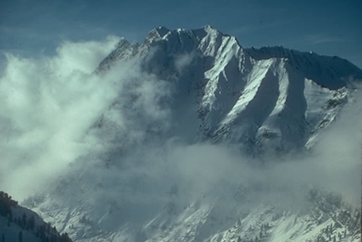 relationship surveys